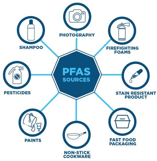 Activated Carbon Precursors